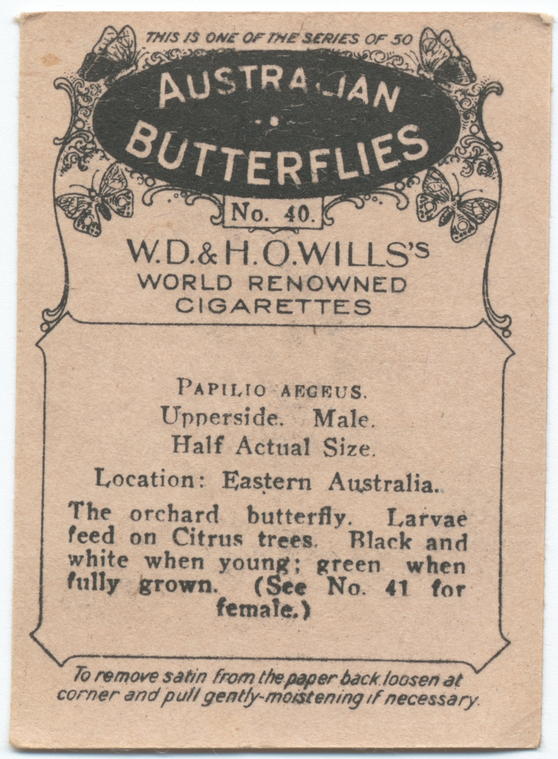 Index