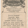 Papilio Choredon.