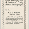 R. L. A. McNamee, New South Wales.