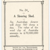 A Shearing Shed.