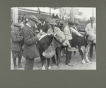 4-H club boys... judging prize heifers at a club fair, October 1921