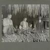 The Howell family "stripping tobacco," November 1916