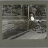 This ... "river-boy"... poling logs into the incline..., November 1913