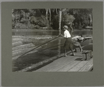 This ... "river-boy"... poling logs into the incline..., November 1913