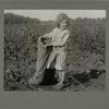 Edith, a five-year-old cotton picker, September 1913