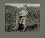 Edith, a five-year-old cotton picker, September 1913