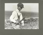 A 10-year-old boy topping beets, October 1915