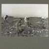 ... the Reiber family...topping beets, October 1915