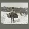 Salvin, 5-year-old, carries two pecks of cranberries..., September 1910