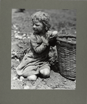 A four-year-old child helping her family pick up potatoes, 1931