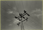 Telephone pole and line (mirror image of #8)