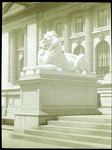 Central building, sculpture and monuments : Potter, entrance lion