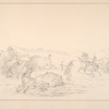 Buffalo chase.  247. Though the fleetness of the wild horse easily brings its rider into close quarters with the Buffalo, there is often a struggle for the mastery. ....