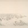 Stalking buffaloes.