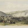 Buffalo hunt, surround.