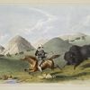 Buffalo hunt. Chasing back.