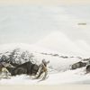 Buffalo hunt. On snow shoes.