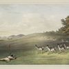 Antelope shooting.