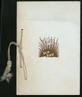 Index