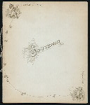 WEDDING DINNER [held by] HENRY HAHLO & JEANNETTE WISE [at] "DELMONICO'S, NEW YORK, NY" (HOT;)