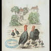 THANKSGIVING DAY DINNER [held by] CITY HOTEL [at] "WORCESTER, MA" (HOTEL)