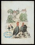 THANKSGIVING DAY DINNER [held by] CITY HOTEL [at] "WORCESTER, MA" (HOTEL)