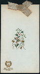 CHRISTMAS DAY DINNER [held by] SAN REMO HOTEL [at] CPW & 75TH ST.NY (HOTEL)