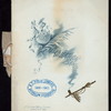 GRADUATION BANQUET [held by] U.S.M.A. (UNITED STATES MILITARY ACADEMY?) [at] "MURRAY HILL HOTEL [NEW YORK, NY]" (HOTEL)