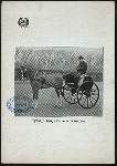 DINER [held by] WALDORF-ASTORIA [at] NY (HOTEL)