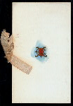 COMPLIMENTARY DINNER TO CURTIS GUILD, JR. [held by] MERCHANT'S CLUB OF BOSTON [at] "NEW ALGONQUIN CLUB, (BOSTON, MA?)" (OTHER (PRIVATE CLUB?);)