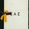 FIFTH ANNUAL BANQUET [held by] DELTA CHAPTER OF SIGMA ALPHA EPSILON [at] "EAGLE HOTEL, GETTYSBURG, PA" (HOTEL;)