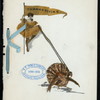 12:00 O'CLOCK DINNER THANKSGIVING DAY [held by] ISELE'S HOTEL [at] "MEMPHIS, TN" (HOTEL;)