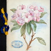 COMPLIMENTARY DINNER TENDERED THE HOTEL KEEPERS' ASSOCIATION OF WEST VIRGINIA [held by] HOTEL KEEPERS' ASSOCIATION OF CHARLESTON [at] HOTEL RUFFNER (HOTEL;)
