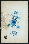 MENU [held by] MERCHANTS' CLUB OF BOSTON [at] ALGONQUIN CLUB (OTHER (CLUB);)