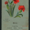 DINNER TO ABOVE [held by] FREINDS OF WILLIAM CLAUSS [at] "THE ST. NICHOLAS, CINCINNATI, OH" (HOTEL;)