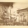 Inside of the exhivision of wild animals
