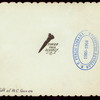 DINNER [held by] ? [at] "THE BASS ROCK,GLOUCESTER,MA." ([HOTEL])
