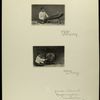 Gamelan instruments, Mankunagaran, Surakarta