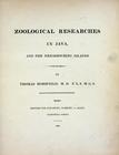 Index