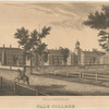 Yale College.