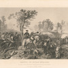 Battle of Eutaw Springs.