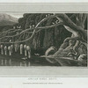 African birds' nests. [Pl. 1]