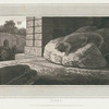 Guana.