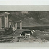 Shepherd's Dog.