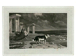 Shepherd's Dog.