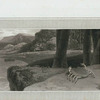 Land Crab.