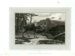 Elk.