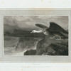 Condor.