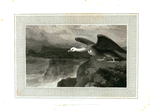 Condor.