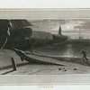 Sturgeon.